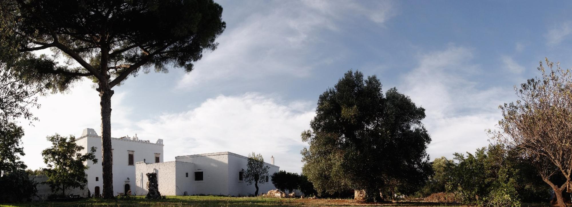 Visit the ancient olive trees in an ancient farmhouse with tasting of virgin and extra virgin olive oil
