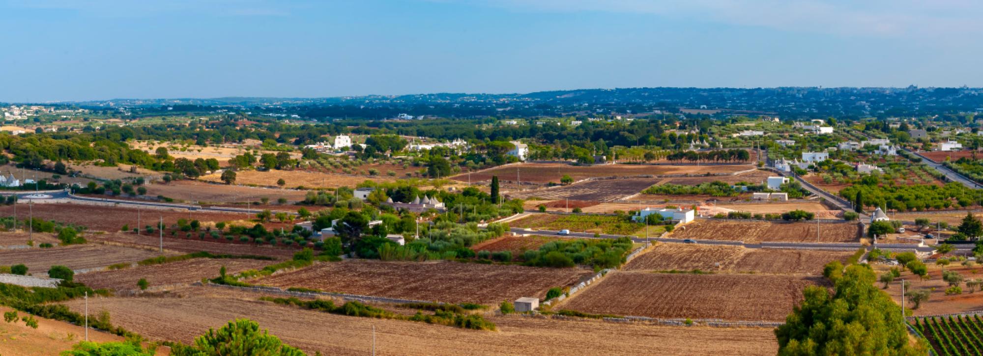 Tra le Vie dell'Olio in bike - Valle d'Itria